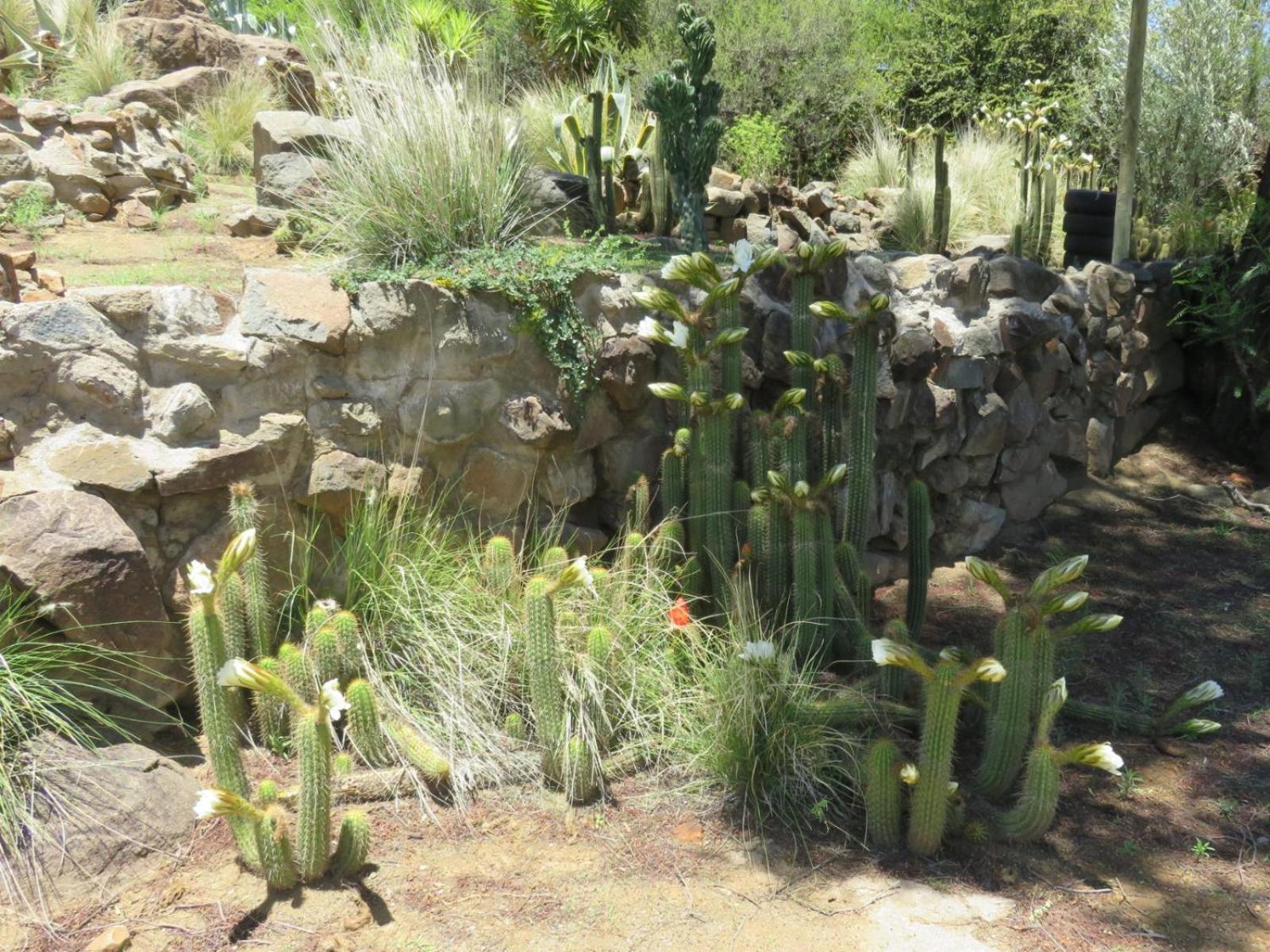 ホテル Cobblestone Court コールズバーグ エクステリア 写真